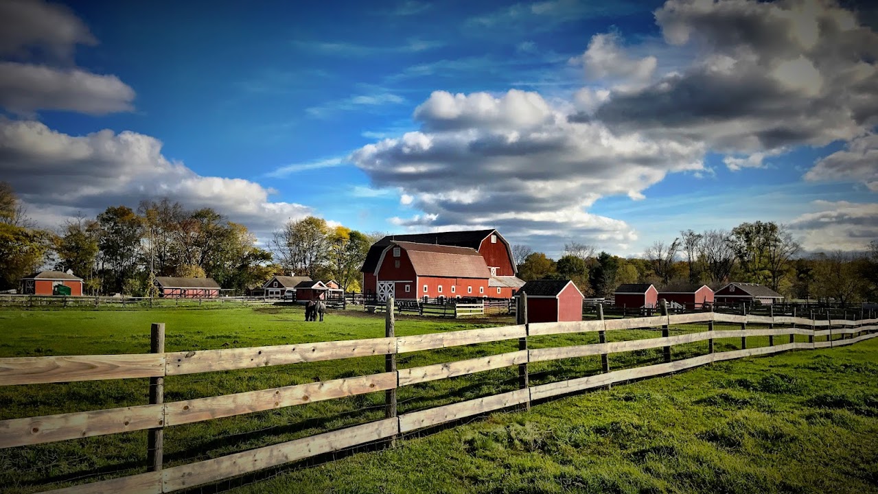 Maybury Farm